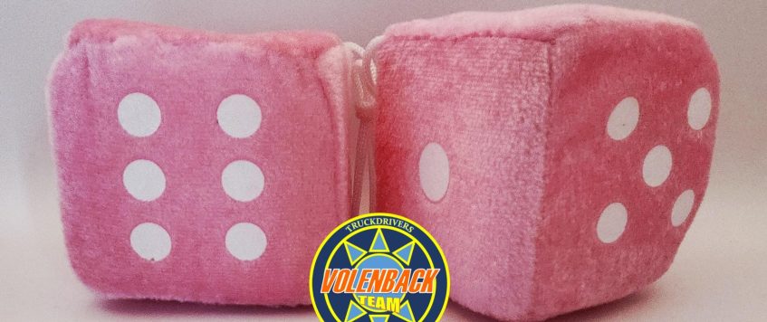 DES VELOURS ROSE 7 cm